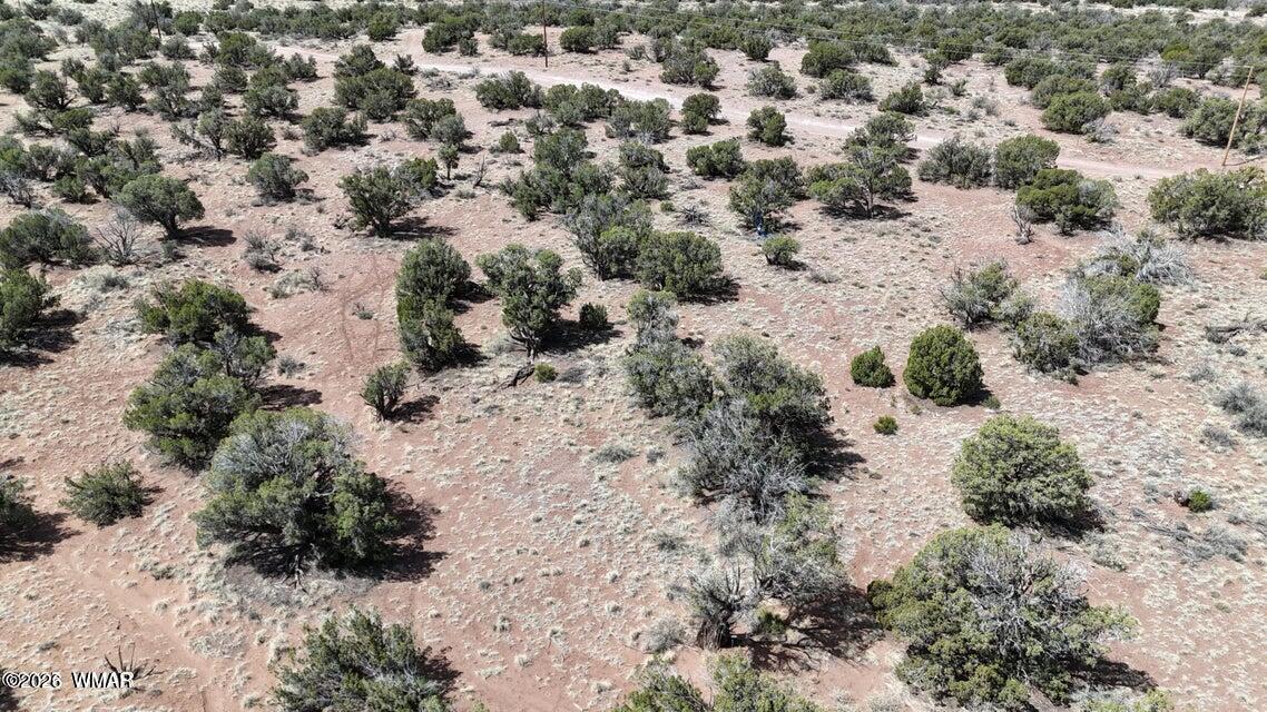 4389 South Sorrel Snowflake, AZ 85937 - Photo 5 of 5 Sorrel Property