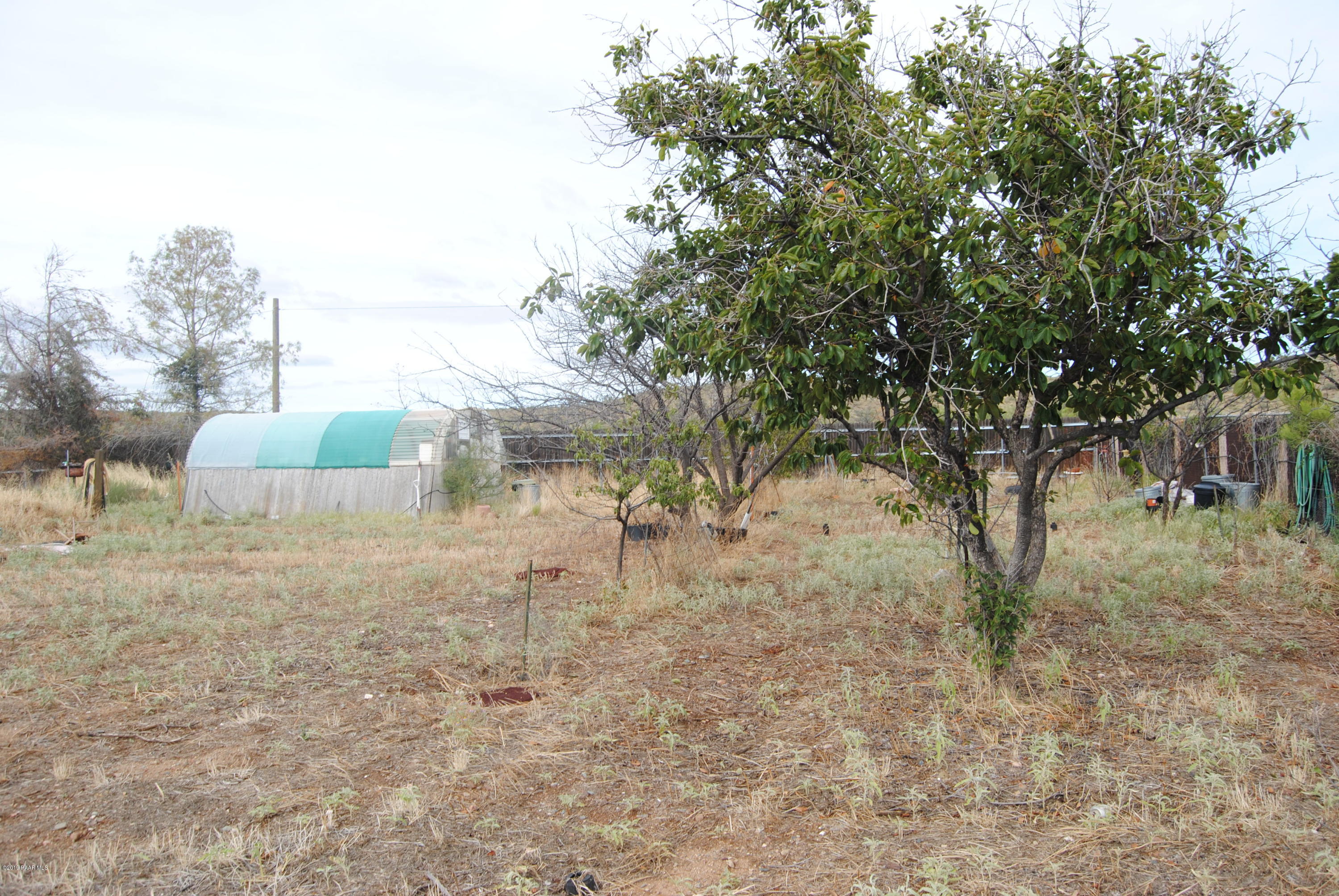 17050 East Spring Valley Road Mayer, AZ 86333 - Photo 14 of 19 014_LookingNorthtoGreenhouseTrees