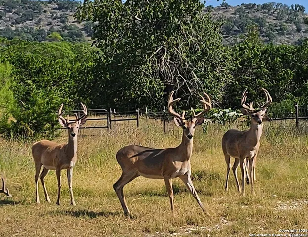 $899,500 | 4380 Bear Springs Road, Pipe Creek, TX 78063