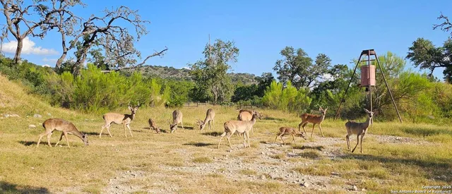 $899,500 | 4380 Bear Springs Road, Pipe Creek, TX 78063