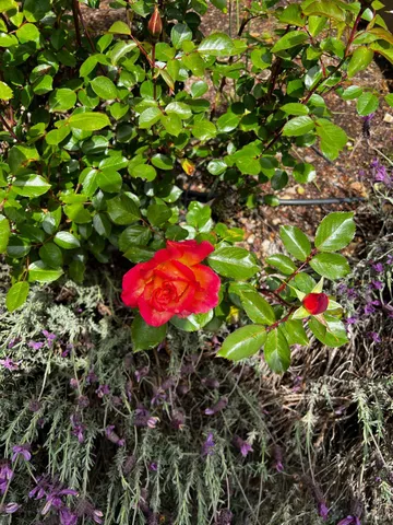 $1,995,000 | 3556 Wood Valley Road, Sonoma, CA 95476