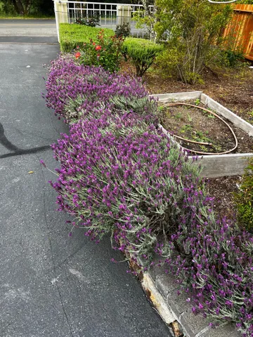 $1,995,000 | 3556 Wood Valley Road, Sonoma, CA 95476