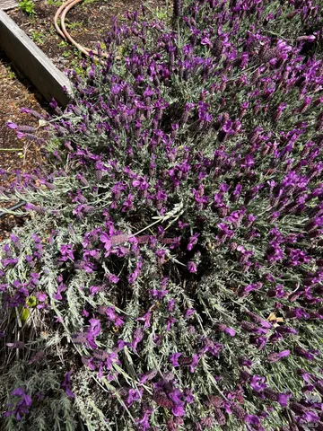 $1,995,000 | 3556 Wood Valley Road, Sonoma, CA 95476