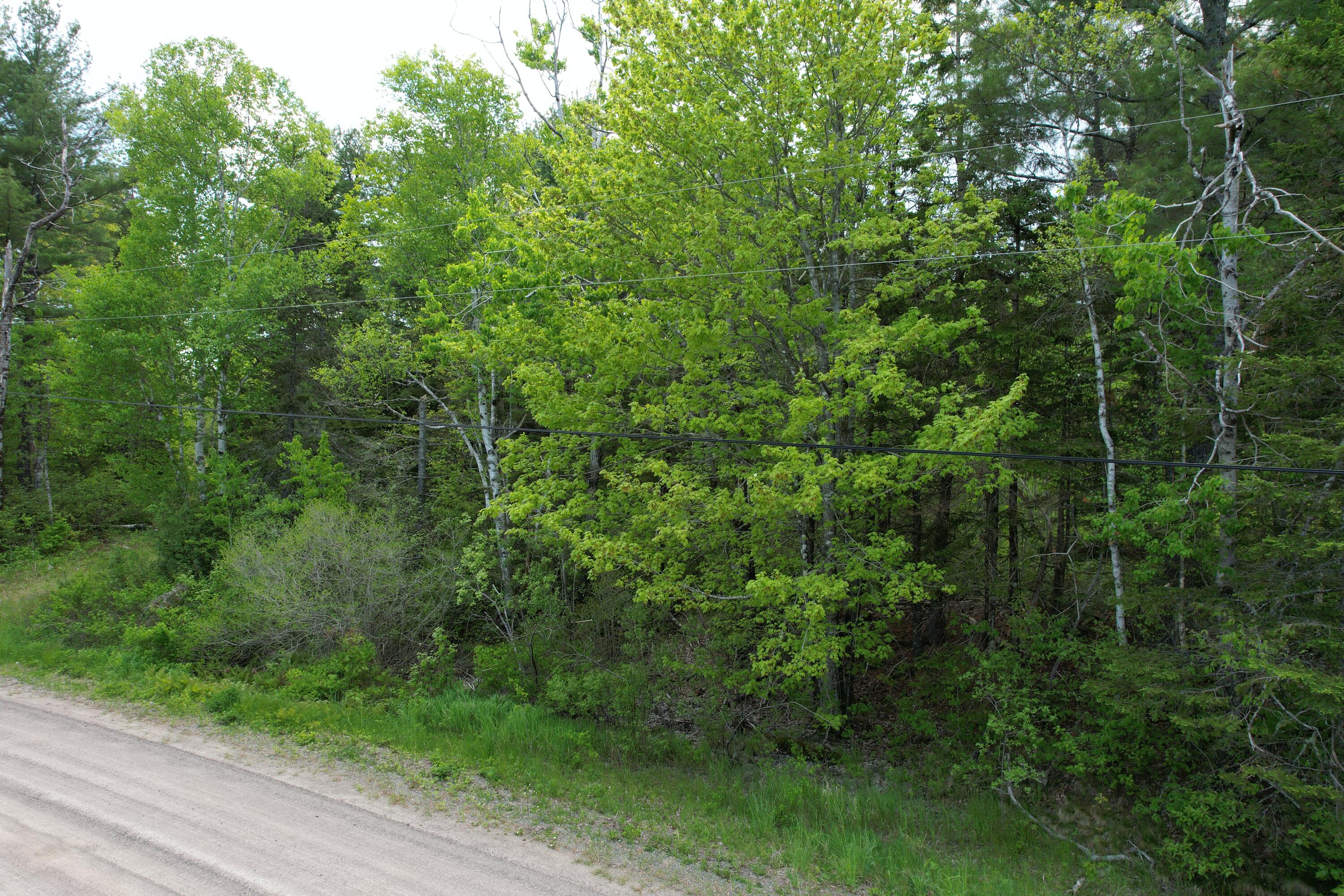 Map5-lot6 Youngs Cove Road Pembroke, ME 04666 - Photo 21 of 30 DJI_0556