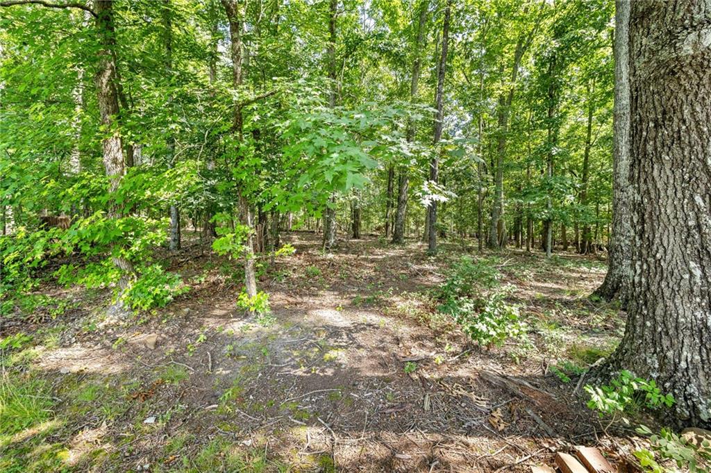 6470 Samoa Way Flowery Branch, GA 30542 - Photo 55 of 61 a big yard with lots of green space and house in the back