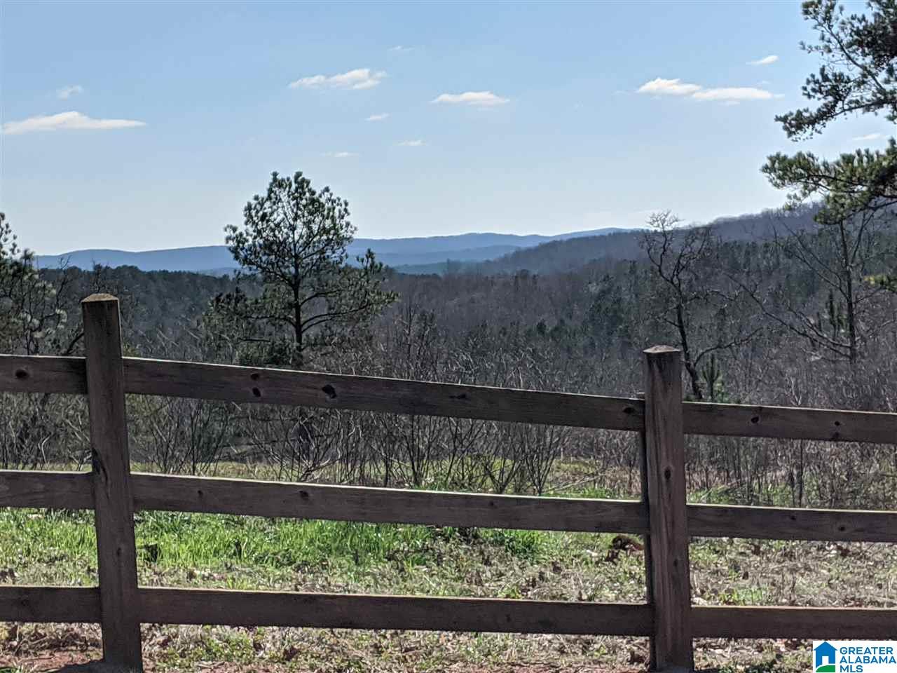 1731 Bolton Road Talladega, AL 35160 - Photo 25 of 46