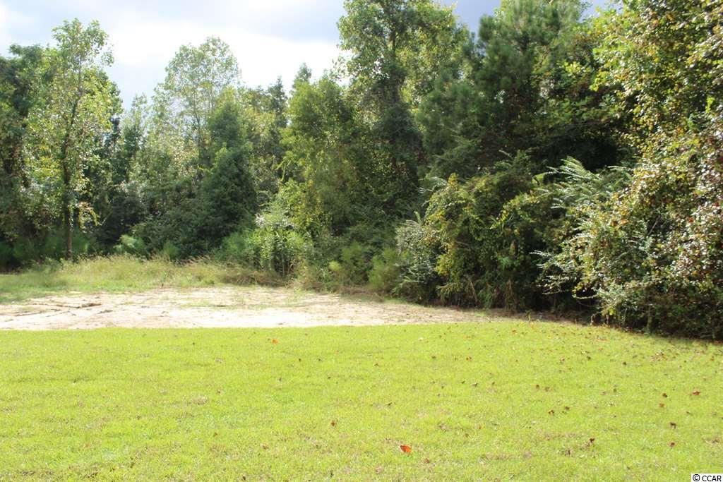 3908 Ridgewood Drive Conway, SC 29526 - Photo 24 of 33 Gallery Image 24