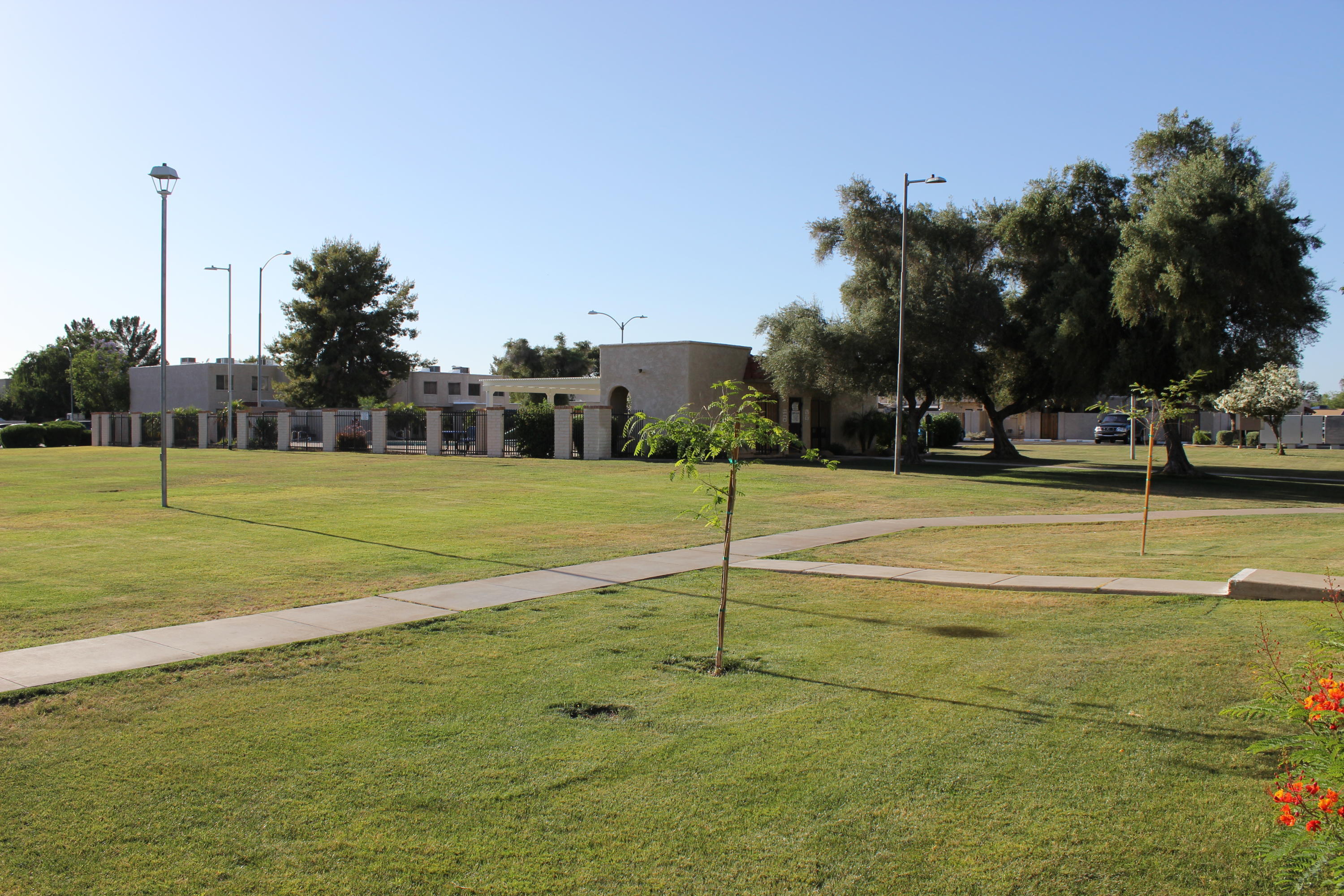 5316 West Redfield Road Glendale, AZ 85306 - Photo 17 of 20 IMG_9931