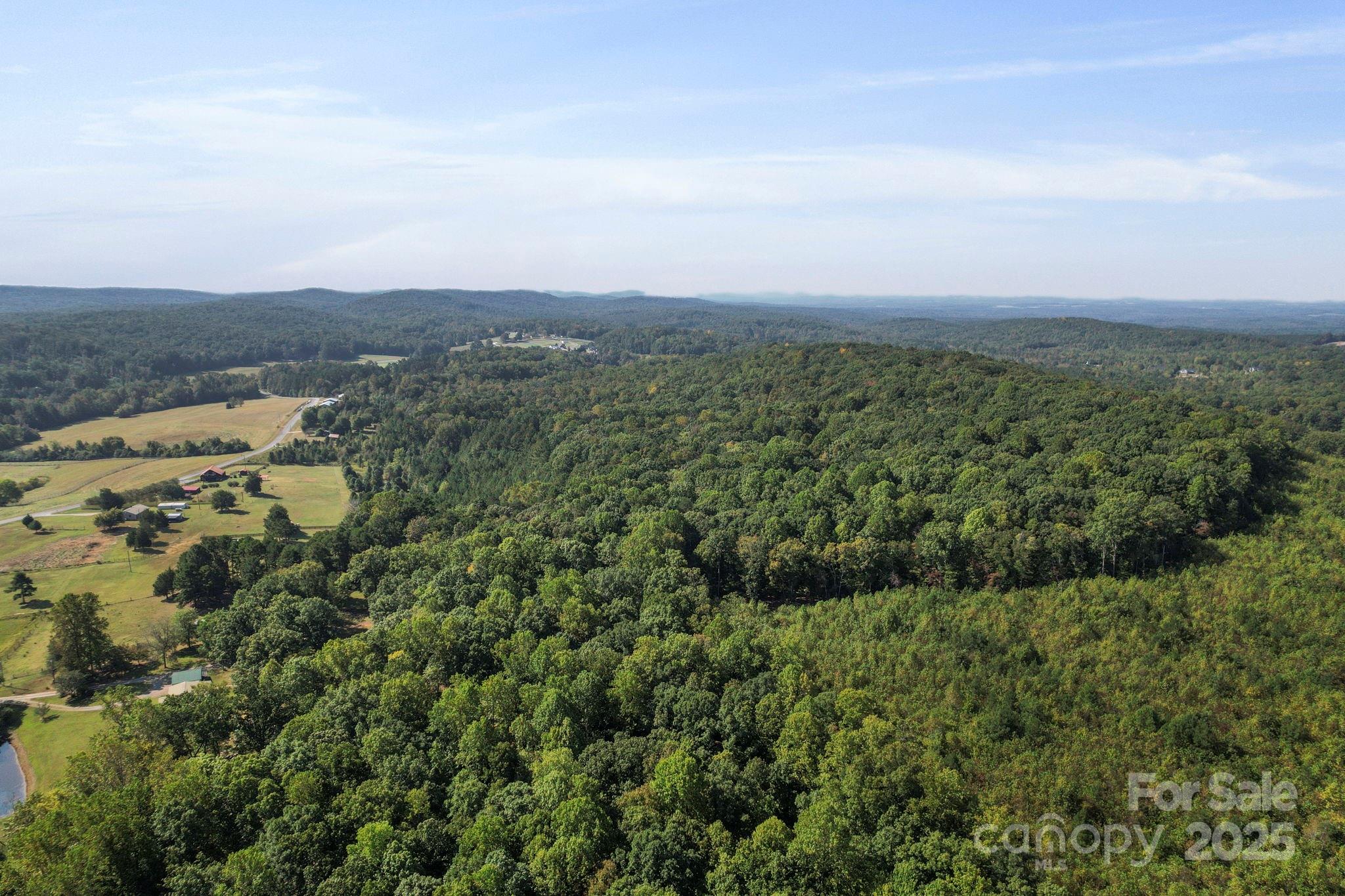 2272 Doul Mountain Road Asheboro, NC 27205 - Photo 13 of 27 an aerial view of residential house and outdoor space
