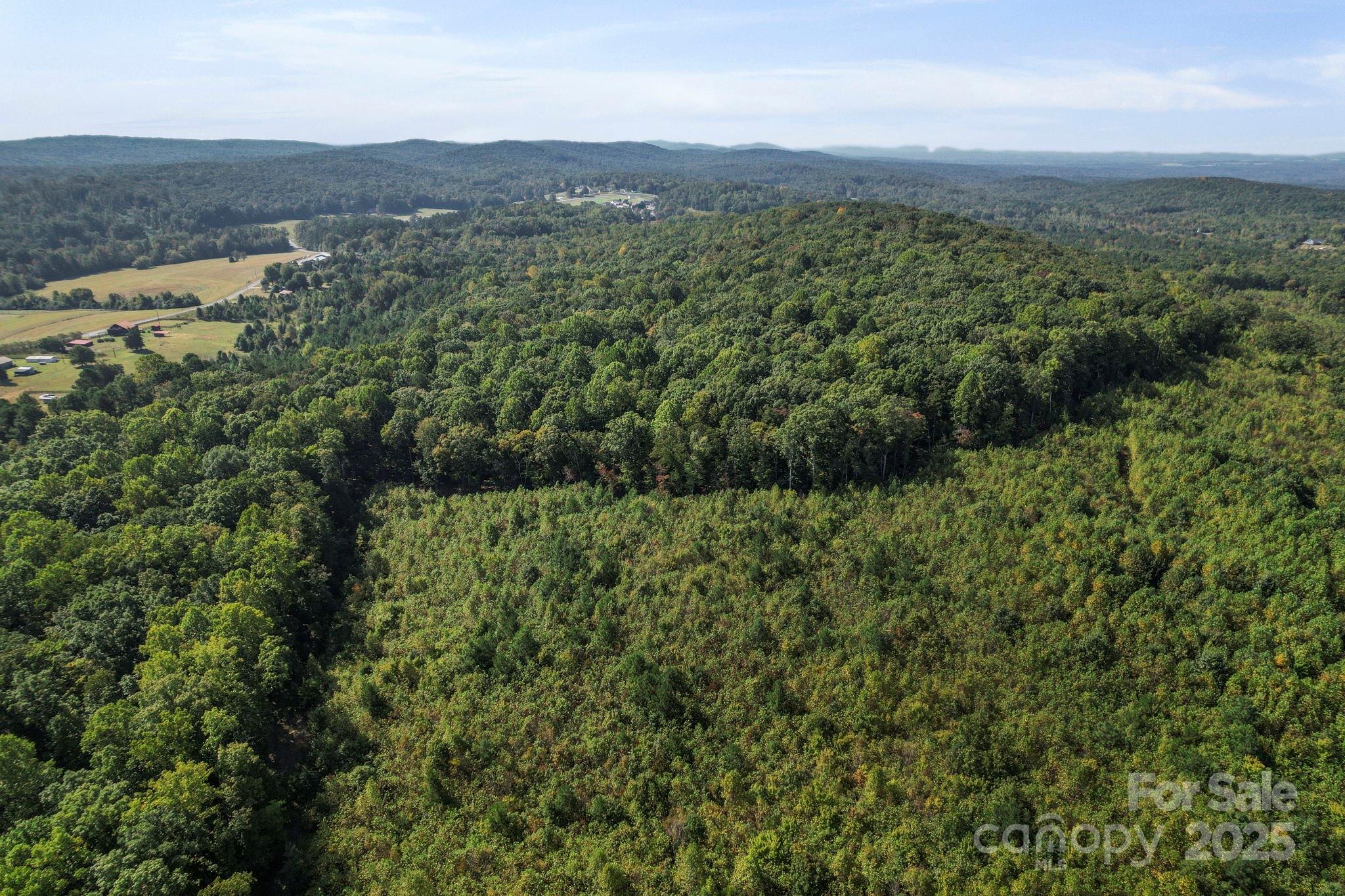 2272 Doul Mountain Road Asheboro, NC 27205 - Photo 18 of 27 an aerial view of residential houses with outdoor space and trees