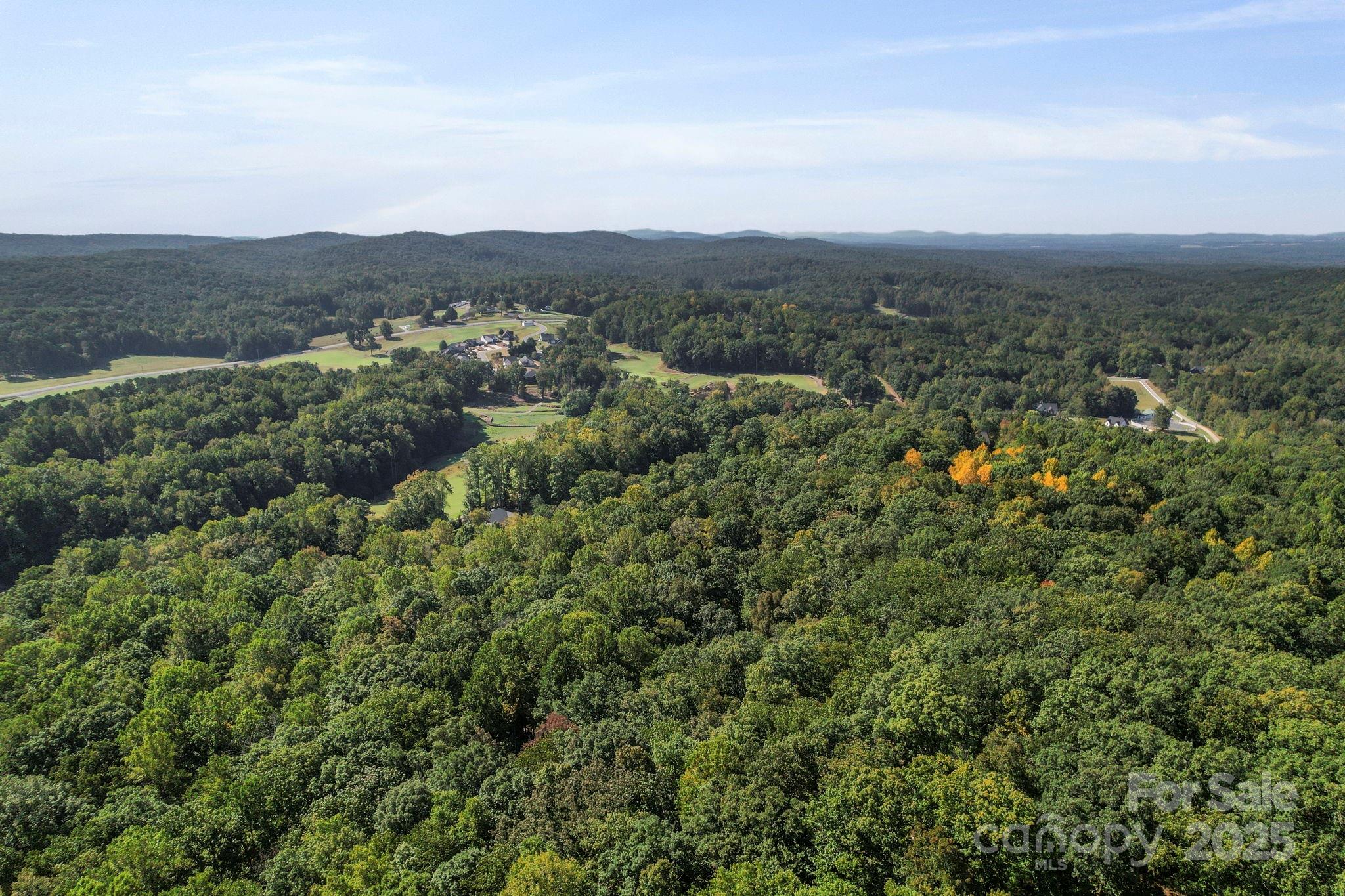 2272 Doul Mountain Road Asheboro, NC 27205 - Photo 19 of 27 an aerial view of houses covered in trees