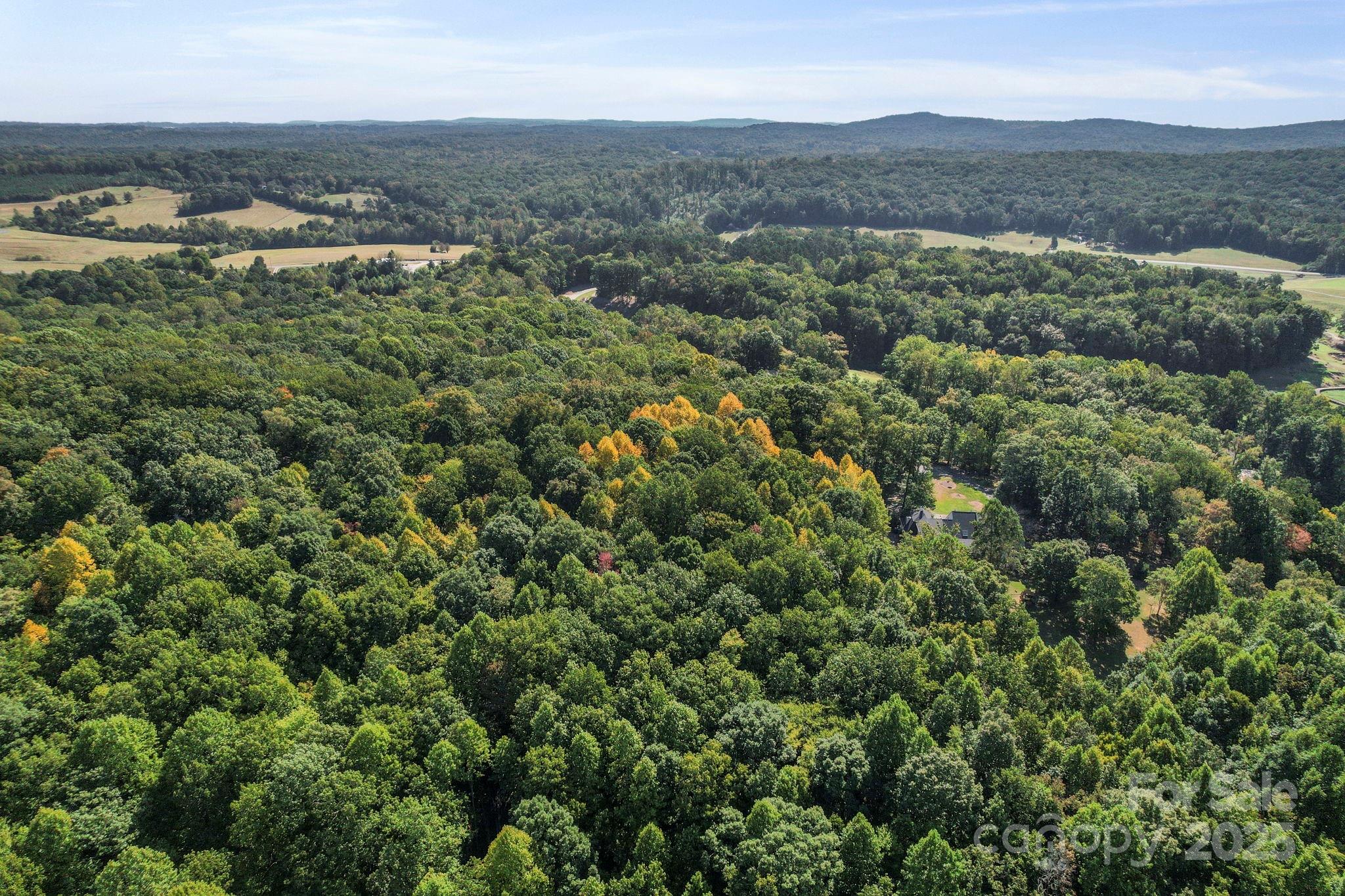 2272 Doul Mountain Road Asheboro, NC 27205 - Photo 27 of 27 an aerial view of residential houses with outdoor space and trees