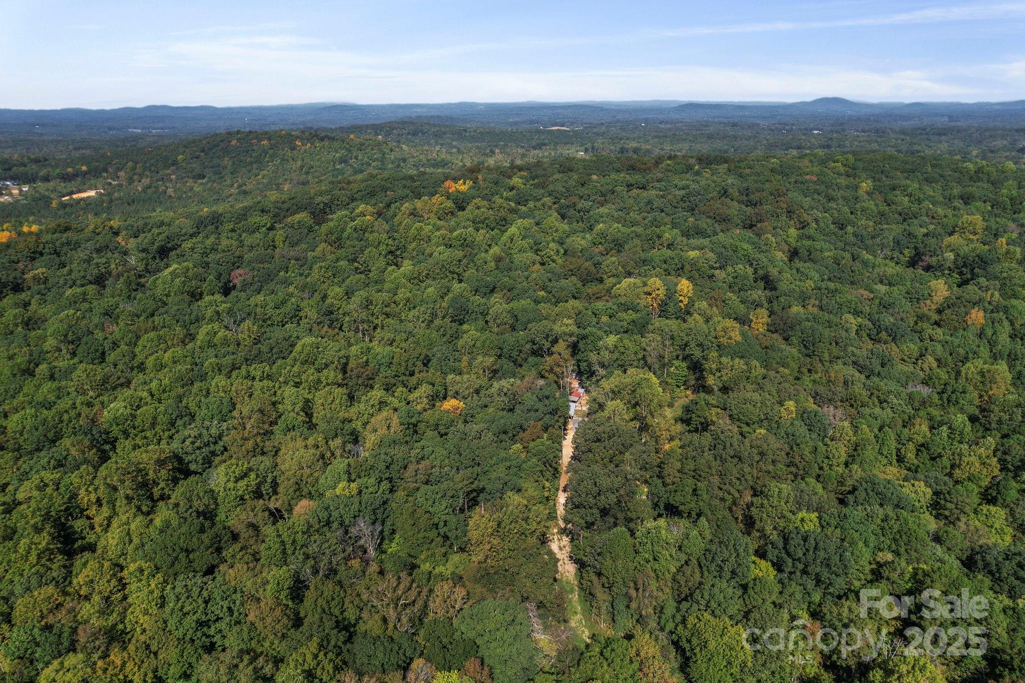 2272 Doul Mountain Road Asheboro, NC 27205 - Photo 4 of 27 a view of a lush green forest with a houses