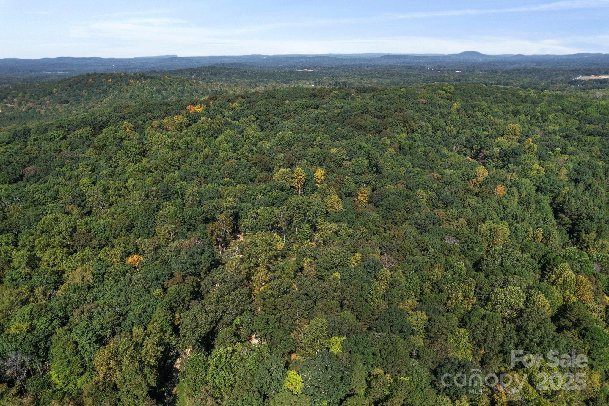 2272 Doul Mountain Road Asheboro, NC 27205 - Photo 5 of 27 a view of a city with lush green forest