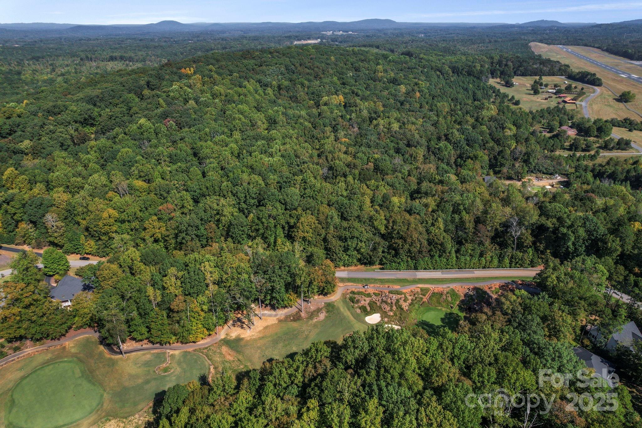 2272 Doul Mountain Road Asheboro, NC 27205 - Photo 8 of 27 a view of a lush green field with lots of bushes