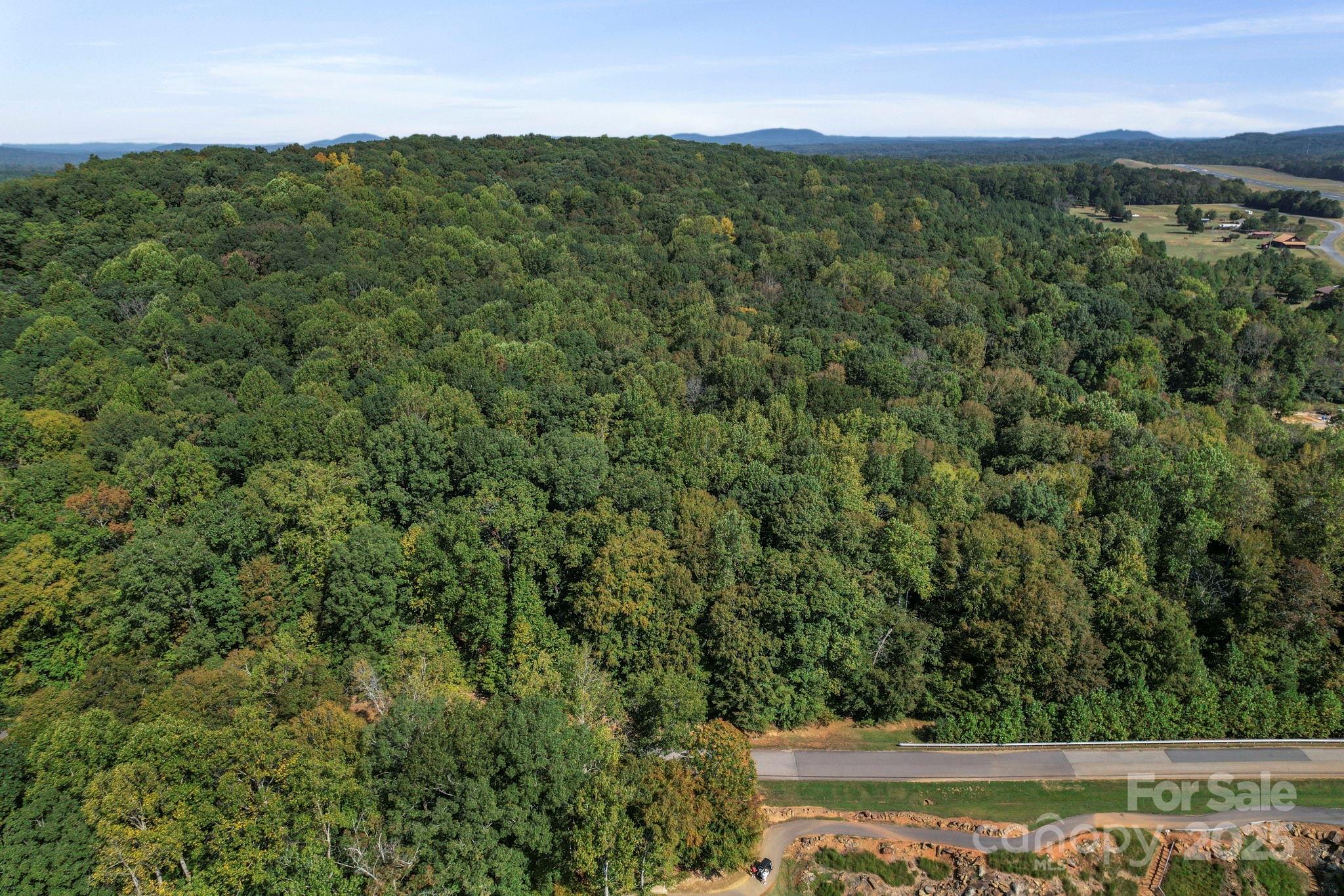 2272 Doul Mountain Road Asheboro, NC 27205 - Photo 9 of 27 a view of a lush green forest with trees and houses