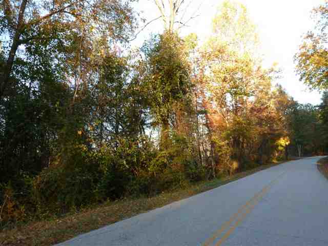 1350 Lake Jemiki Road Walhalla, SC 29691 - Photo 13 of 25 Gallery Image 13