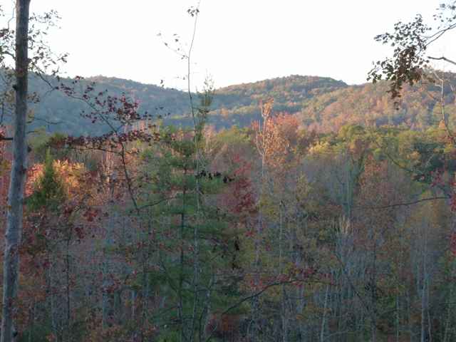1350 Lake Jemiki Road Walhalla, SC 29691 - Photo 16 of 25 Gallery Image 16