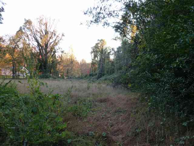 1350 Lake Jemiki Road Walhalla, SC 29691 - Photo 21 of 25 Gallery Image 21