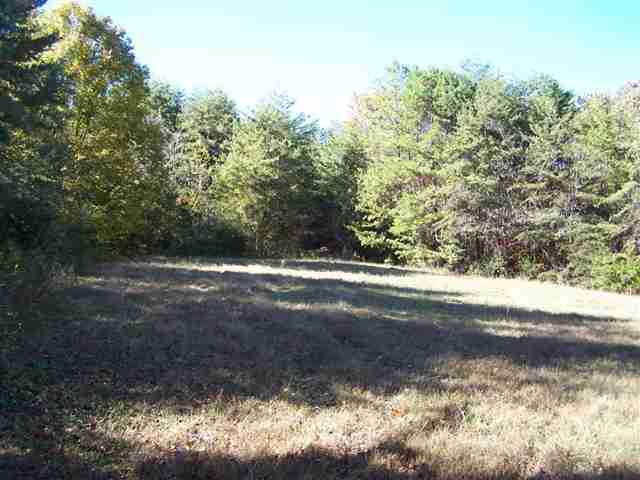 1350 Lake Jemiki Road Walhalla, SC 29691 - Photo 3 of 25 Gallery Image 3