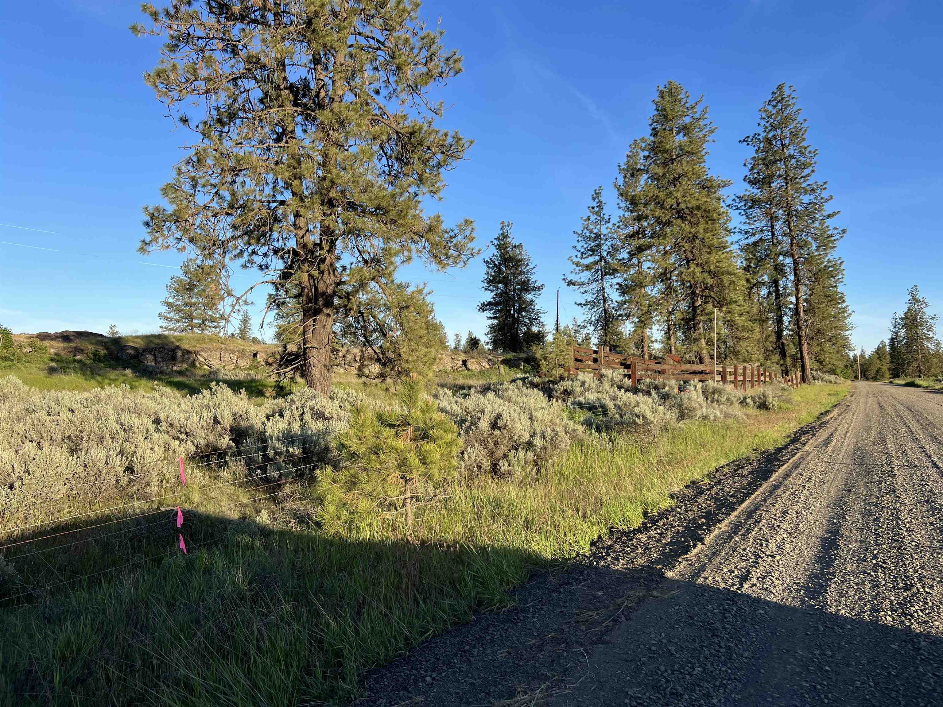 Undisclosed Address Edwall, WA 99008 - Photo 4 of 5