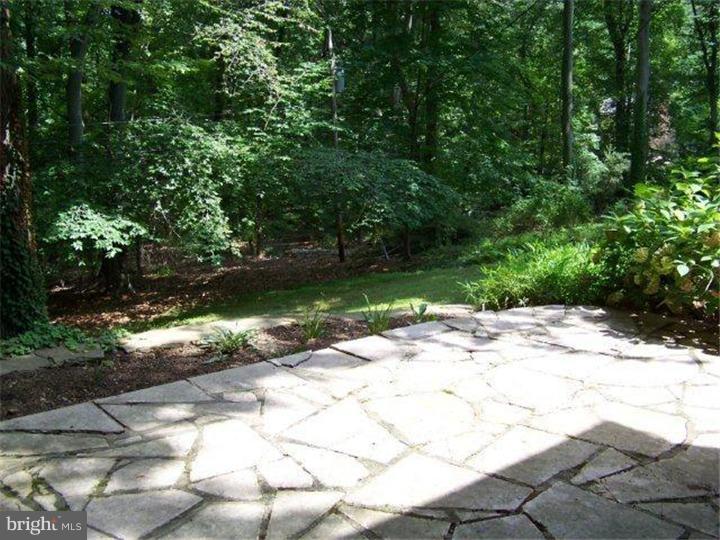 655 Timber Lane Devon, PA 19333 - Photo 4 of 18 Patio