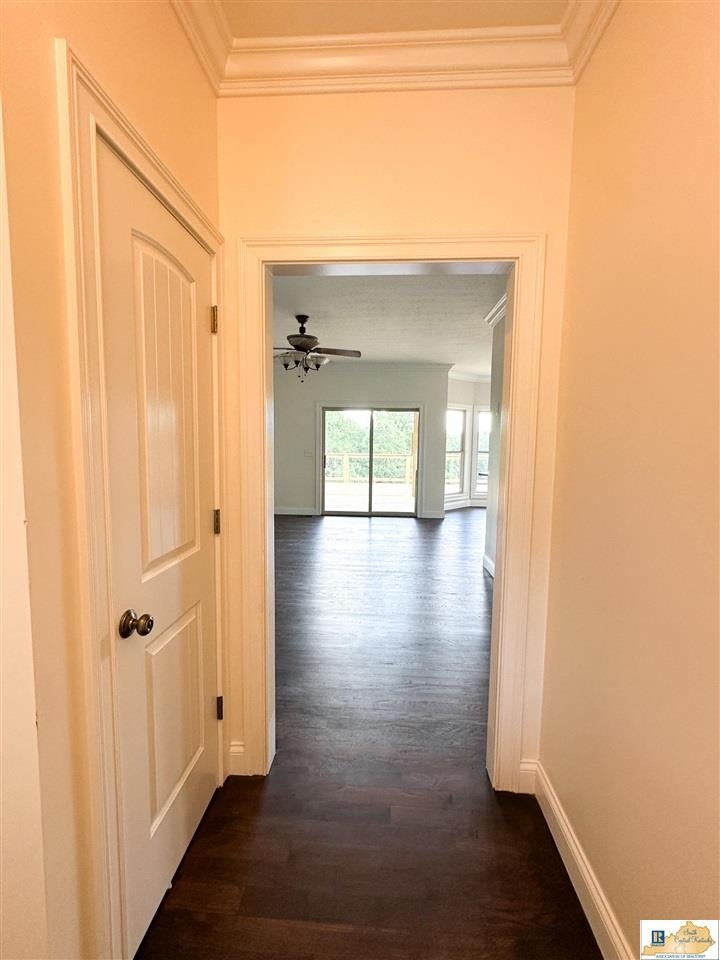 3105 Independence Ridge Road Breeding, KY 42715 - Photo 7 of 68 Gallery Image 7