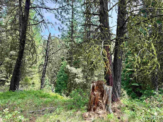 $87,200 | 53 Landale Lane, Cascade, ID 83611