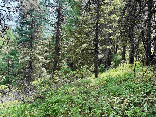 $87,200 | 53 Landale Lane, Cascade, ID 83611