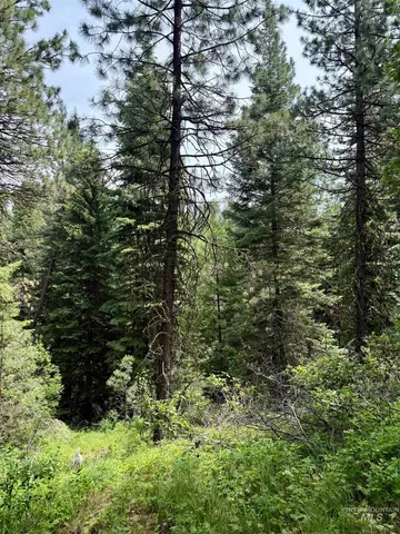 $87,200 | 53 Landale Lane, Cascade, ID 83611