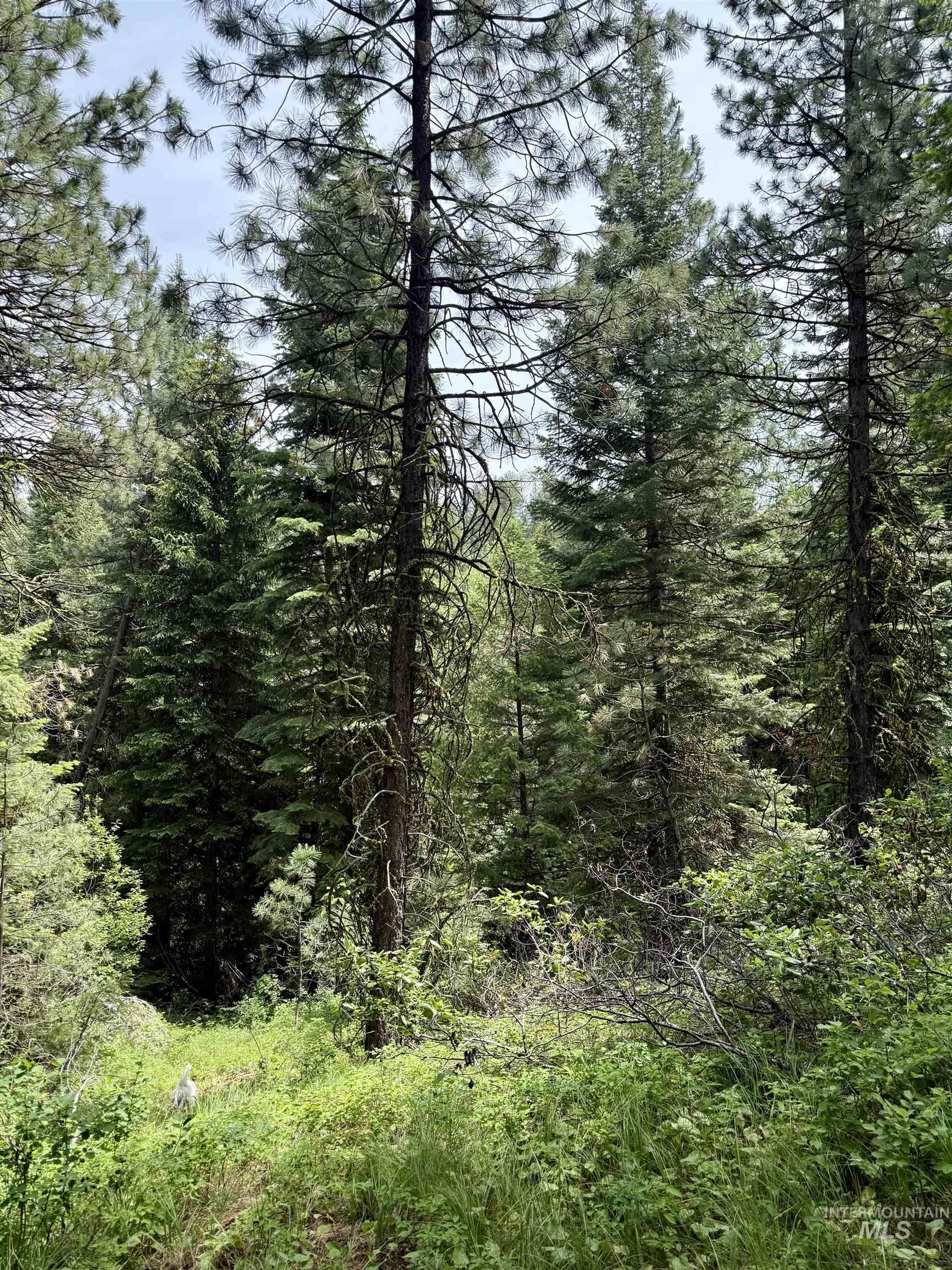 53 Landale Lane Cascade, ID 83611 - Photo 8 of 8