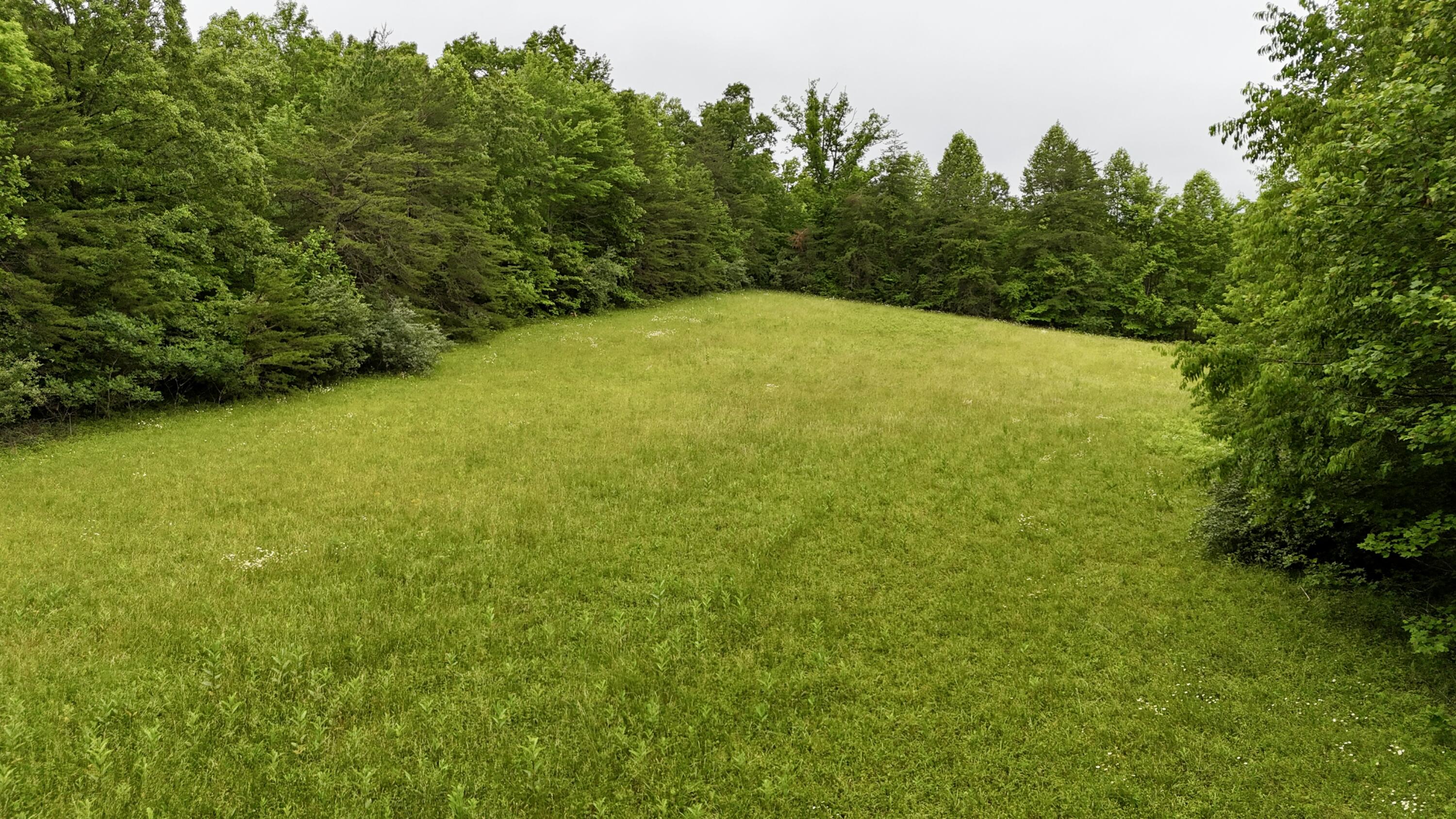 9999 Auger Springs Road Corbin, KY 40701 - Photo 3 of 13 3