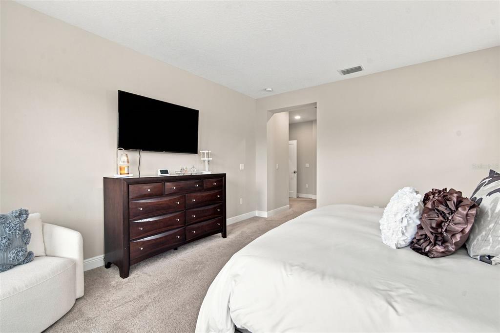 4587 Shoreleaf Loop Valrico, FL 33596 - Photo 64 of 90