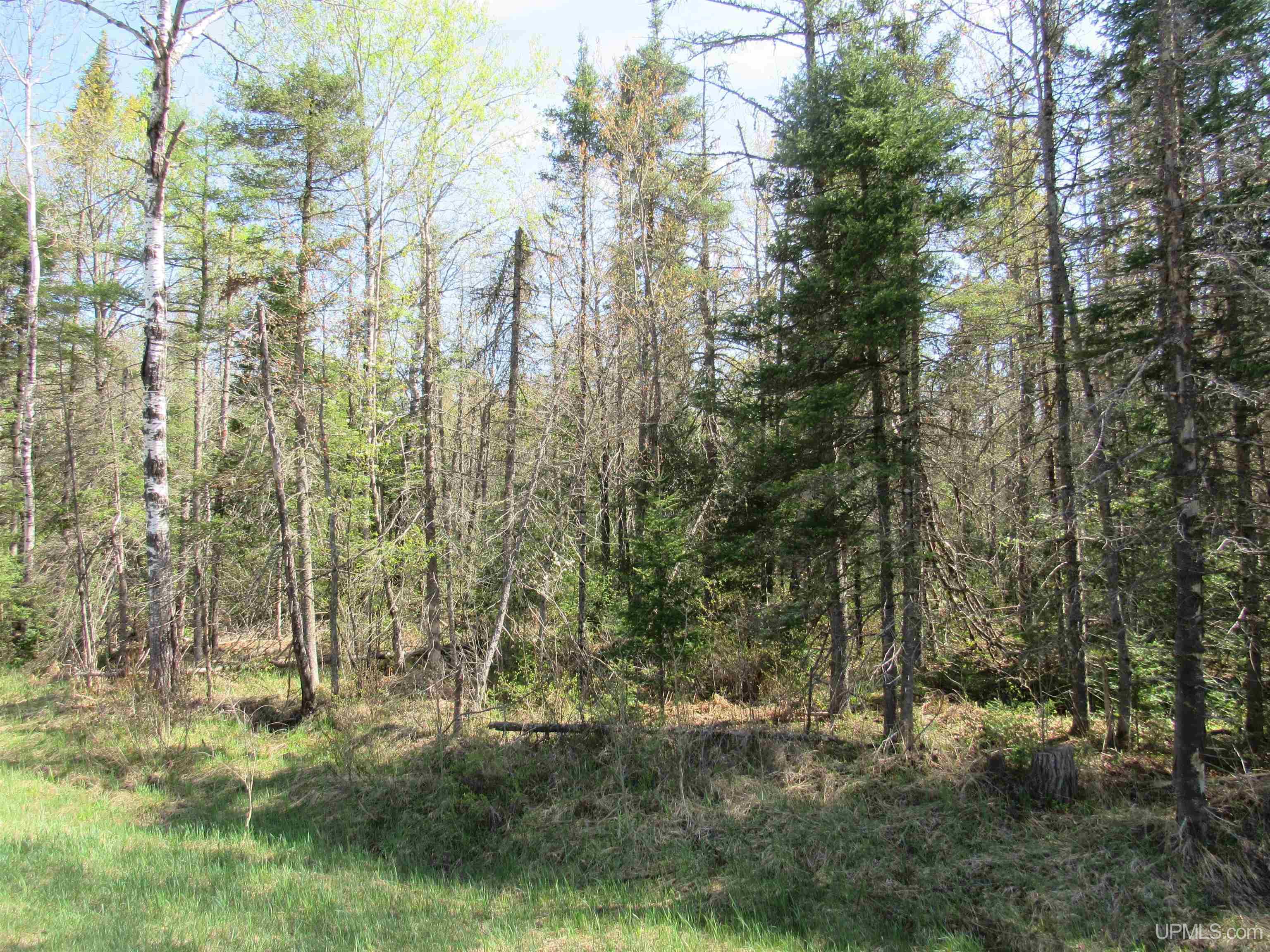 Tbd Us 141 Road, Unit LUKES ROAD Amasa, MI 49903 - Photo 9 of 22