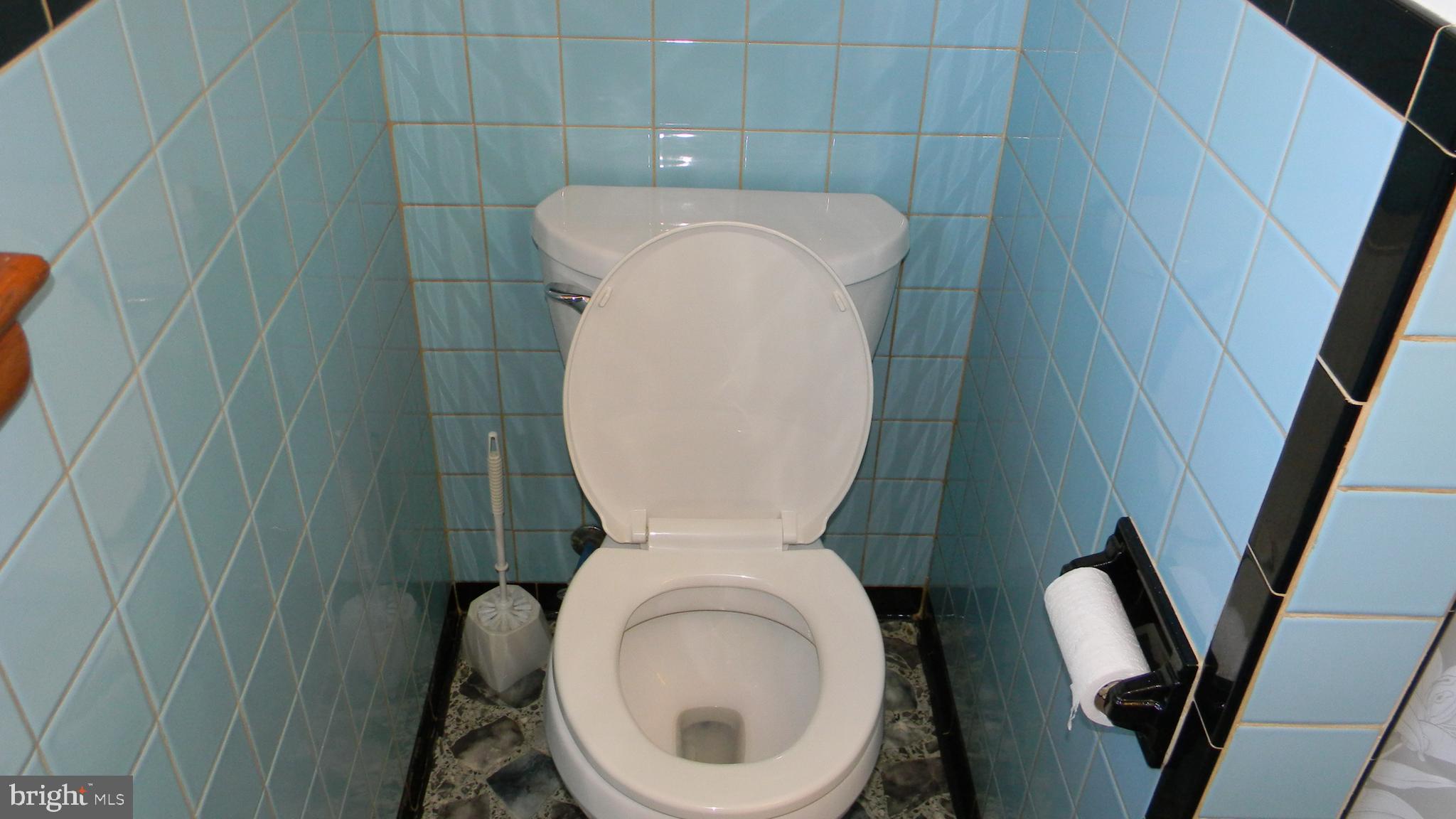 6688 Brocks Gap Road Broadway, VA 22815 - Photo 37 of 81 a close view of a toilet in a bathroom