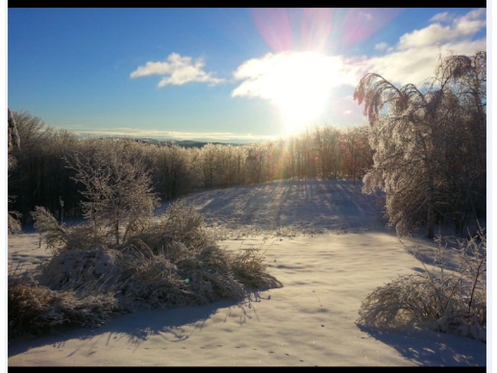 947 Wilmington Cross Road Whitingham, VT 05361 - Photo 13 of 14