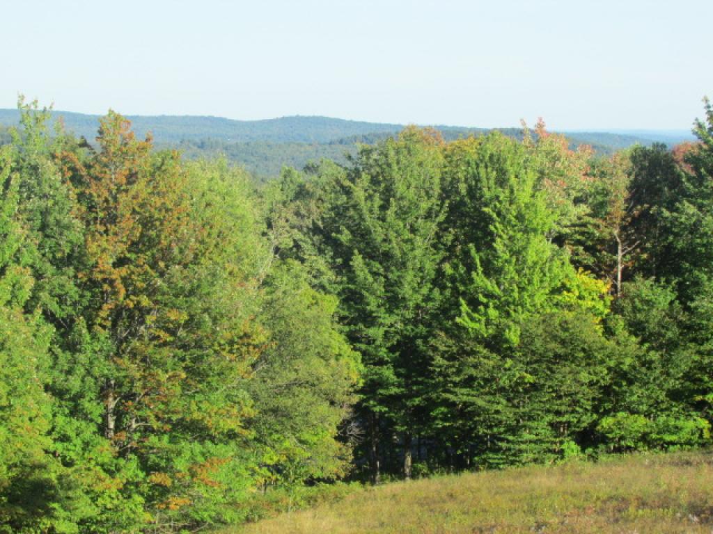 947 Wilmington Cross Road Whitingham, VT 05361 - Photo 9 of 14