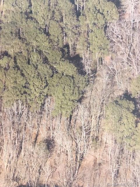 0 Bill Sweatt Road Lancaster, SC 29720 - Photo 2 of 3