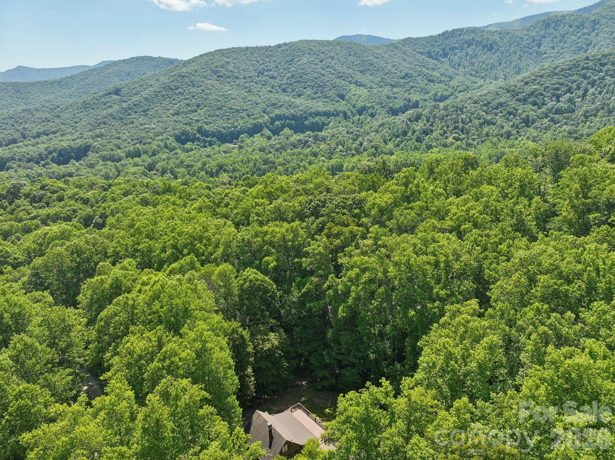 89 Apgar Road Candler, NC 28715 - Photo 29 of 37