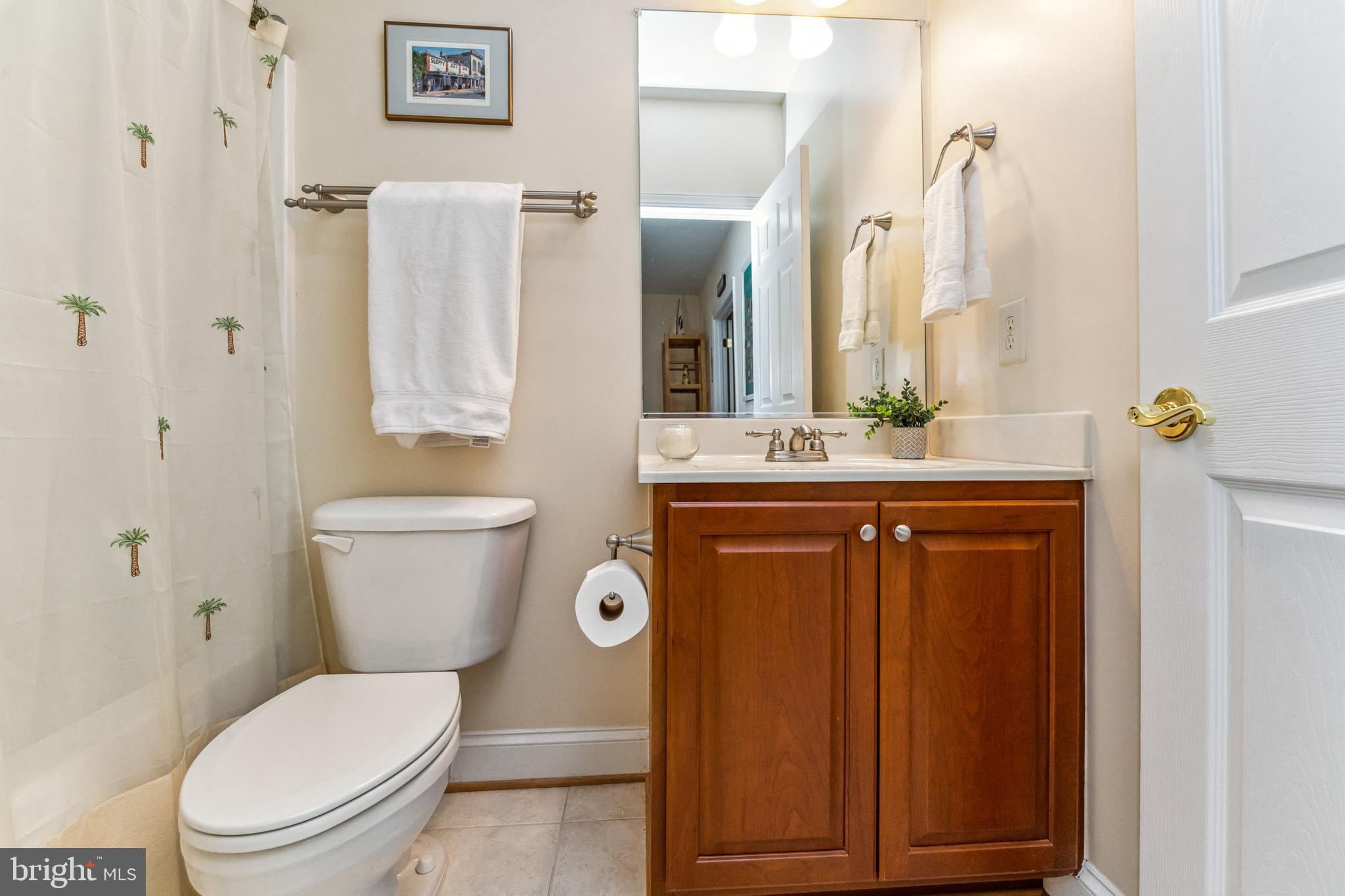 384 Forest Beach Road Annapolis, MD 21409 - Photo 38 of 44 Lower Level Full Bath