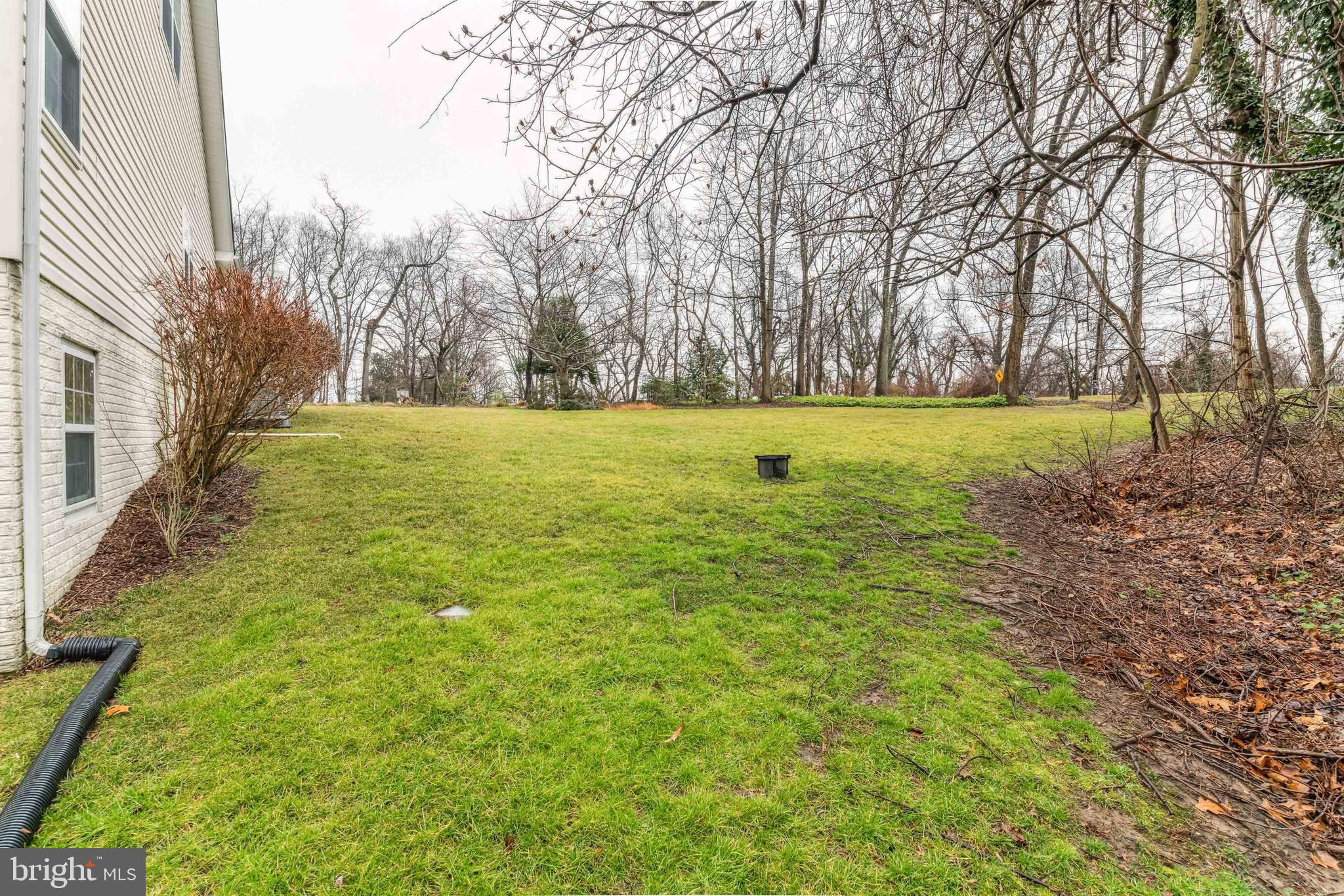 384 Forest Beach Road Annapolis, MD 21409 - Photo 43 of 44 Plenty of yard space