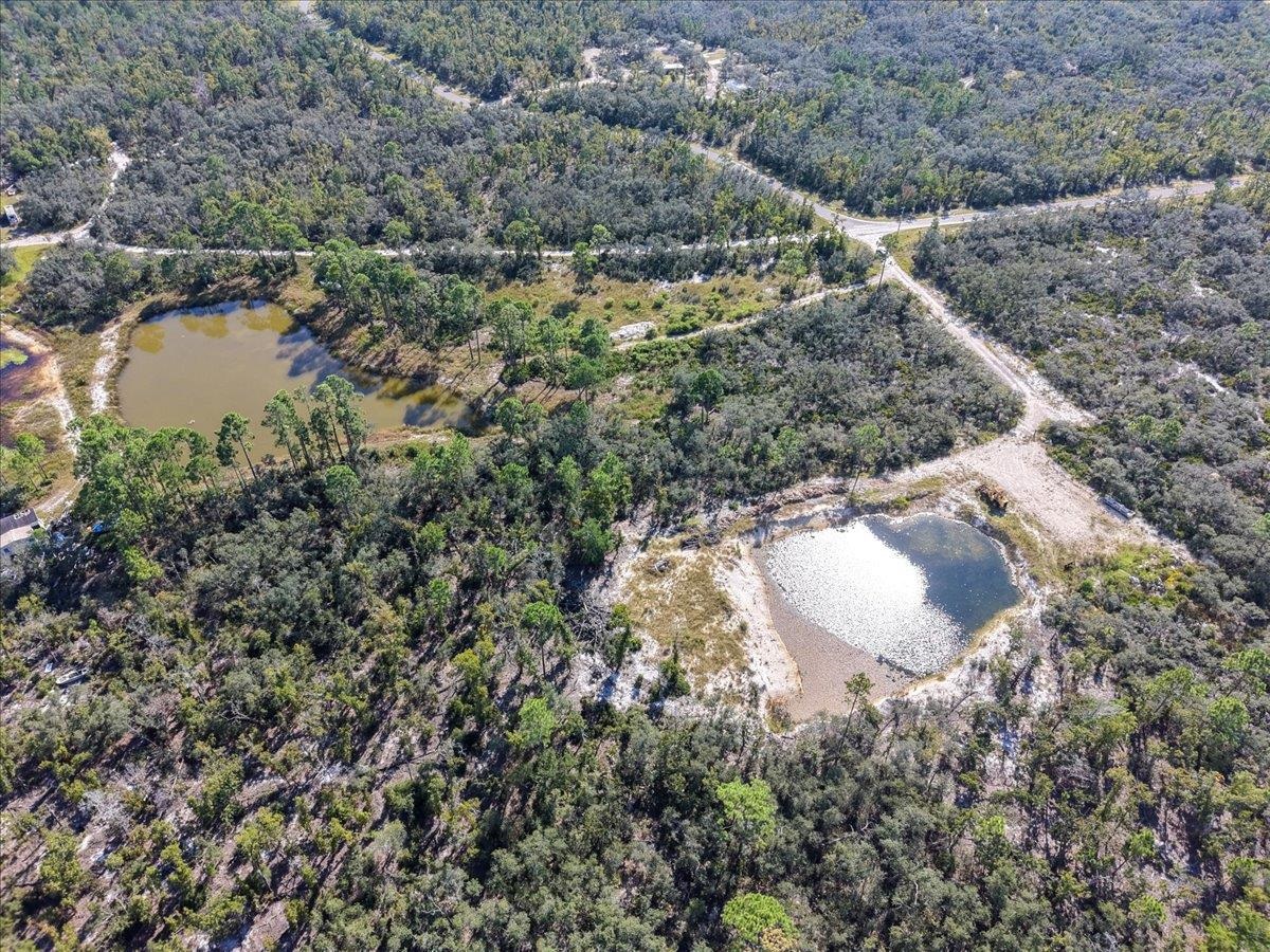 Xx Xx Oak Hill Road Perry, FL 32348 - Photo 19 of 31 Gallery Image 19