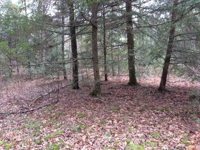 0 Shotgun Annie Road Jamestown, TN 38556 - Photo 2 of 17