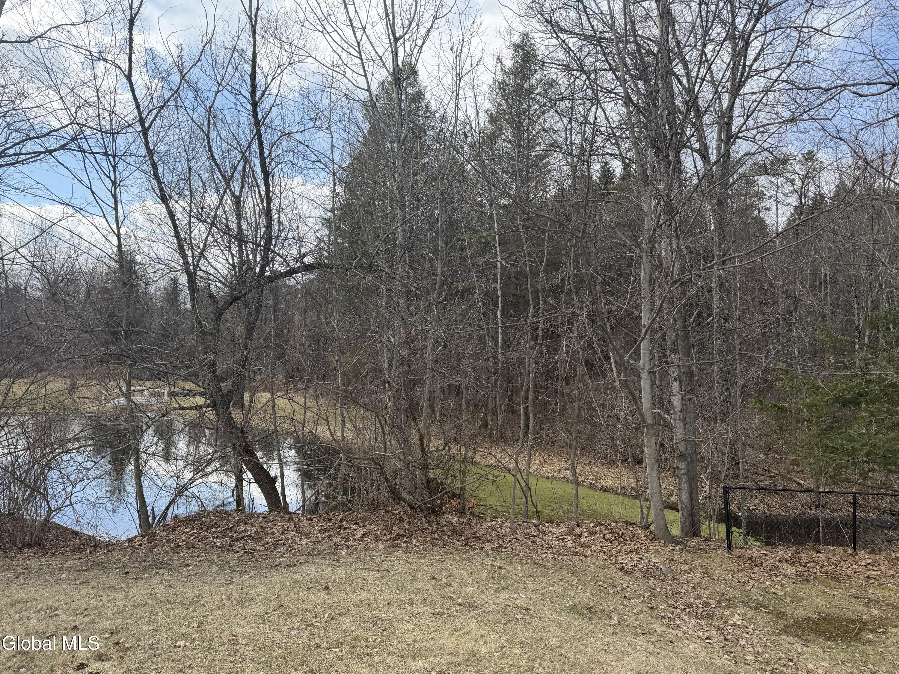 902 Shardon Court Rotterdam, NY 12306 - Photo 41 of 41 IMG_0410