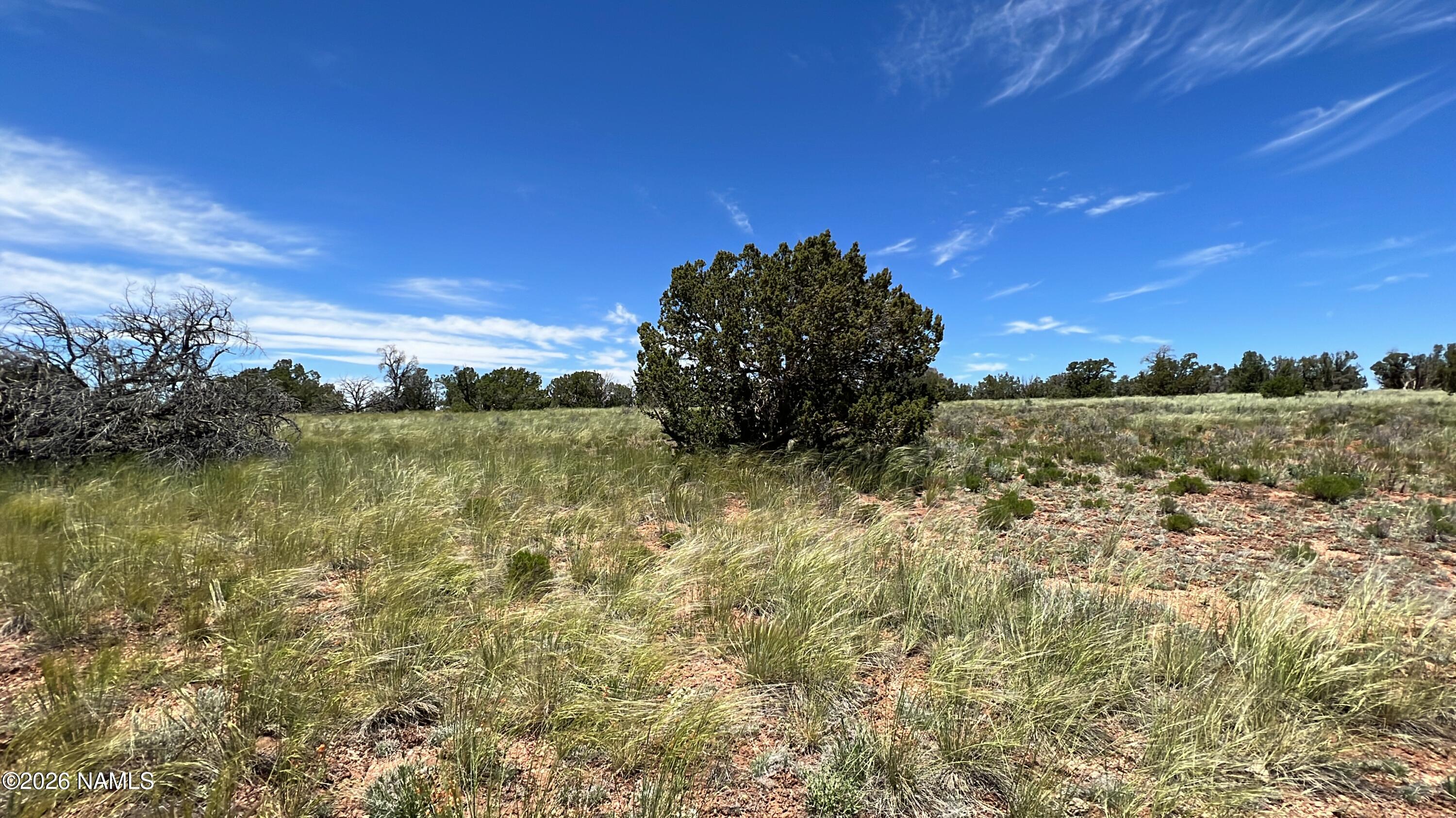5614 North Alta Villa Road Williams, AZ 86046 - Photo 5 of 24 IMG_8686