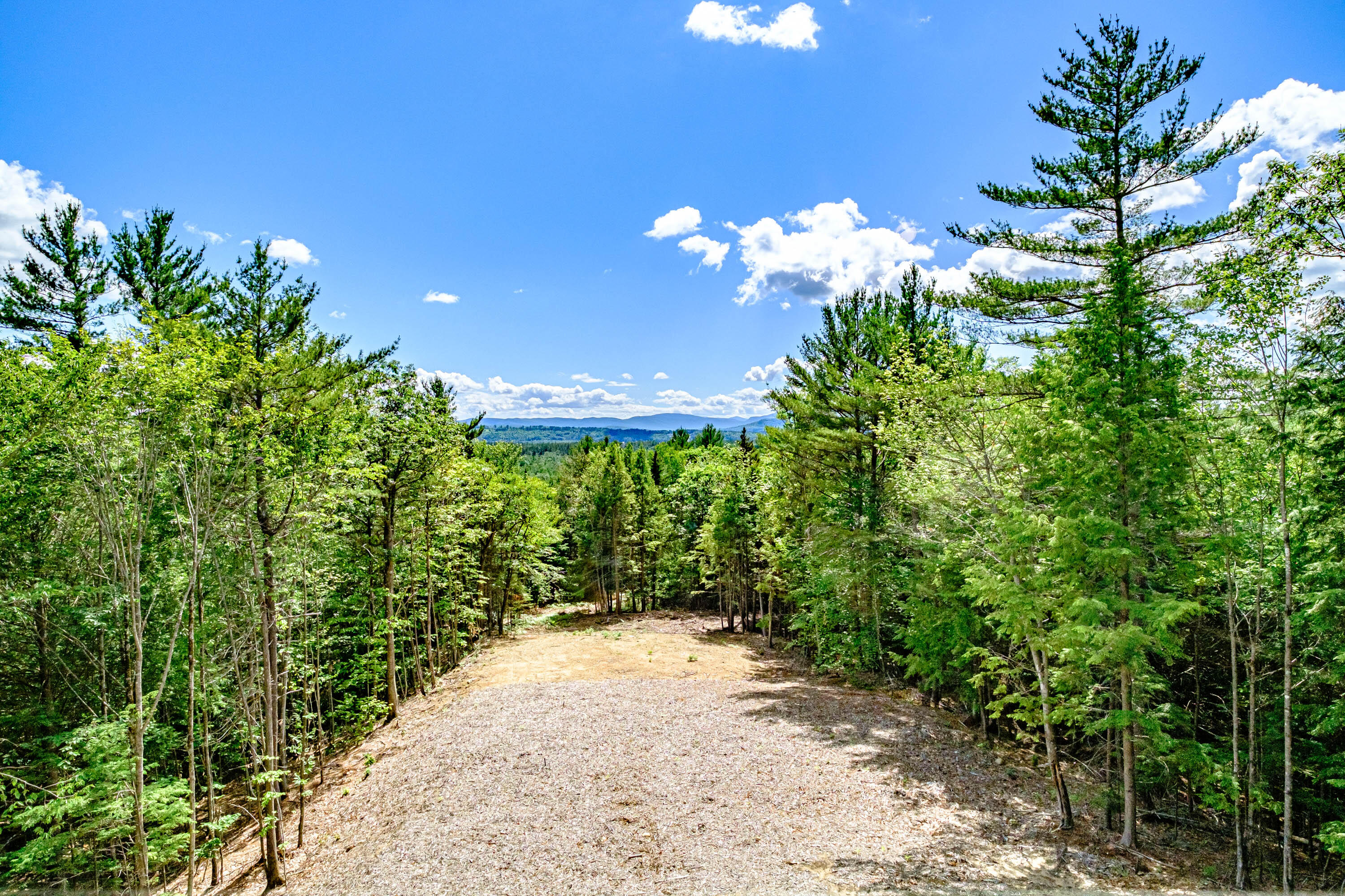 172 Mountain Valley Ext Road Bethel, ME 04217 - Photo 65 of 79 20220624gp-64066