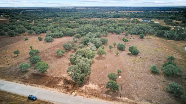 an aerial view of greenery