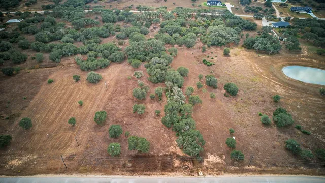 a view of a forest with trees in the background