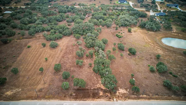 a view of a dry yard with lots of trees