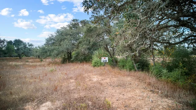 a view of a lake view with a tree